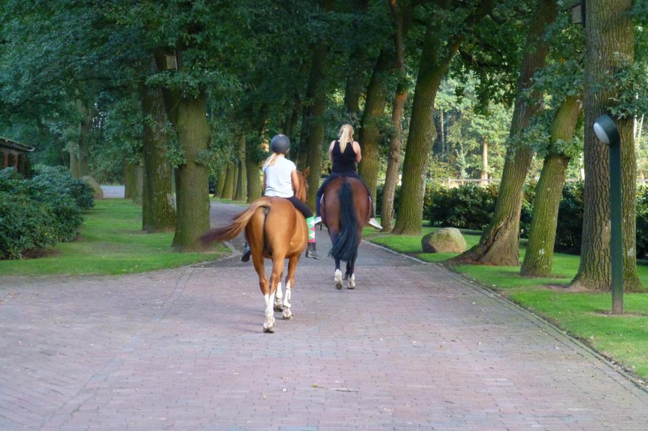 Grosse Ferienwohnung, Auf Bauernhof Mit Ponys Und Pferden, Laendlich Und Ruhig, Naehe Duemmer See Holdorf Экстерьер фото