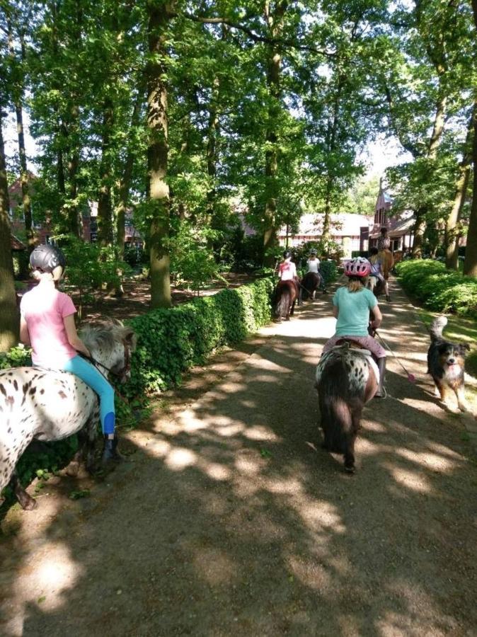 Grosse Ferienwohnung, Auf Bauernhof Mit Ponys Und Pferden, Laendlich Und Ruhig, Naehe Duemmer See Holdorf Экстерьер фото